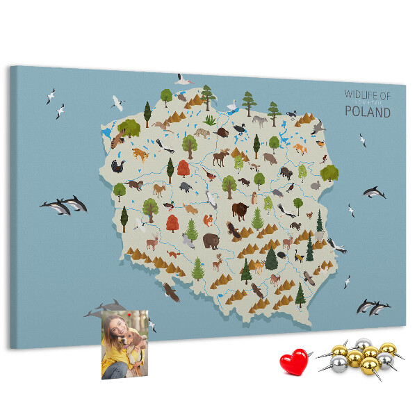 Tablica korkowa z nadrukiem Fauna Polski na kolorowej mapie