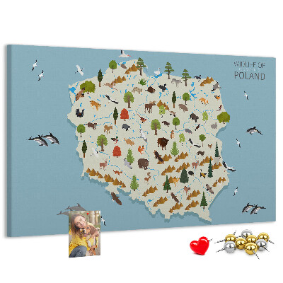 Tablica korkowa z nadrukiem Fauna Polski na kolorowej mapie