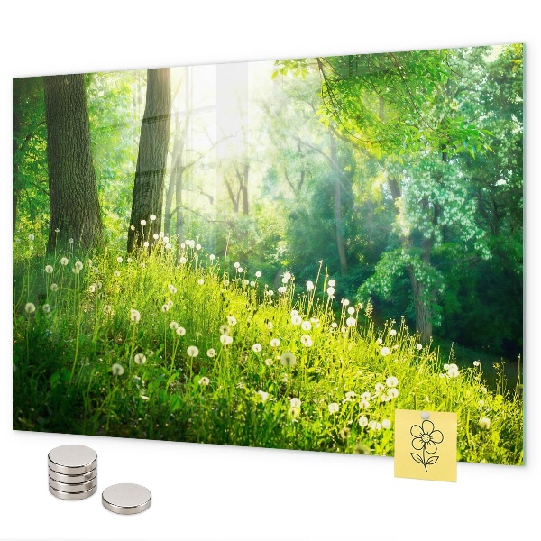 Tablica magnetyczna na magnesy Wiosenna natura