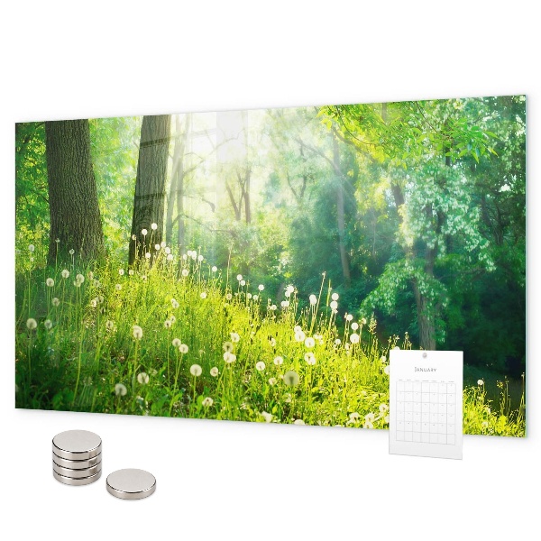 Tablica magnetyczna na magnesy Wiosenna natura