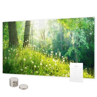 Tablica magnetyczna na magnesy Wiosenna natura
