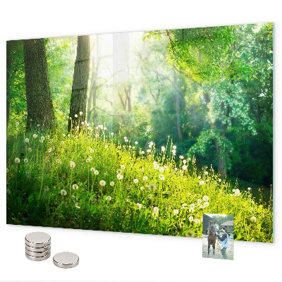 Tablica magnetyczna na magnesy Wiosenna natura