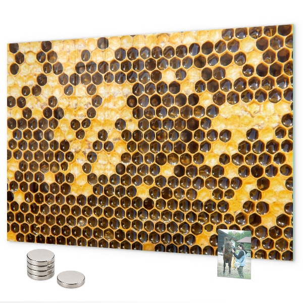 Tablica magnetyczna na magnesy Plaster miodu