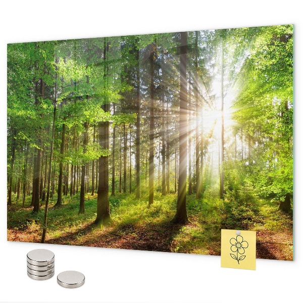 Tablica magnetyczna Wschód słońca w lesie