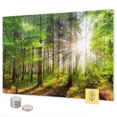 Tablica magnetyczna Wschód słońca w lesie