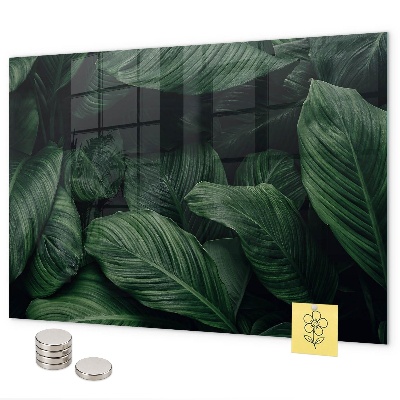 Tablica magnetyczna na magnesy Tropikalna monstera