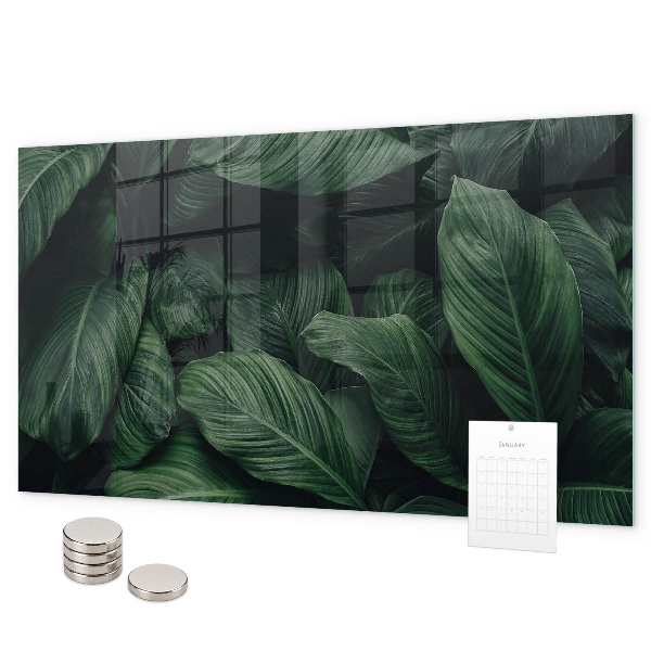 Tablica magnetyczna na magnesy Tropikalna monstera