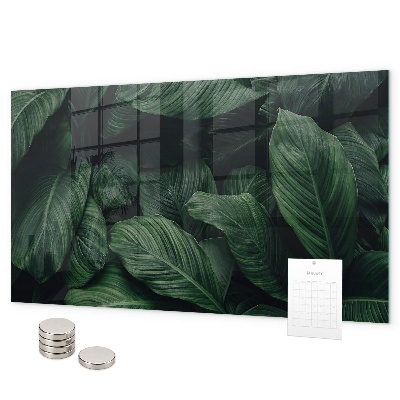 Tablica magnetyczna na magnesy Tropikalna monstera