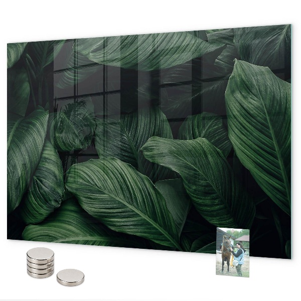 Tablica magnetyczna na magnesy Tropikalna monstera