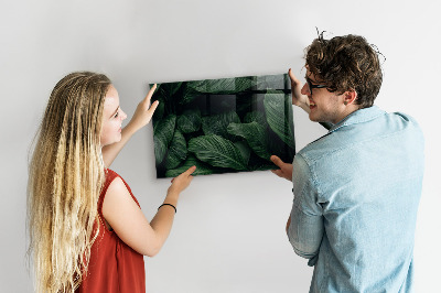 Tablica magnetyczna na magnesy Tropikalna monstera