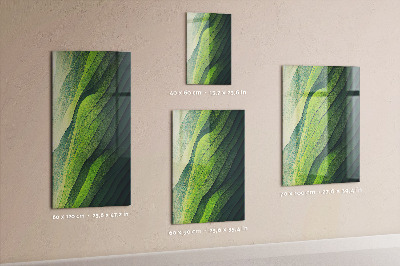 Tablica magnetyczna na ścianę Zielone smugi natury