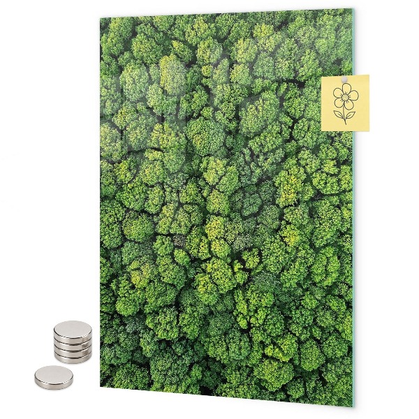 Tablica magnetyczna na ścianę drzewa natura las