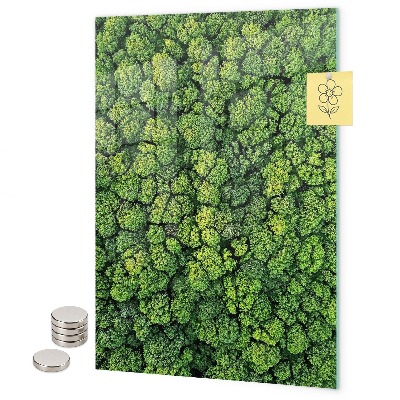 Tablica magnetyczna na ścianę drzewa natura las