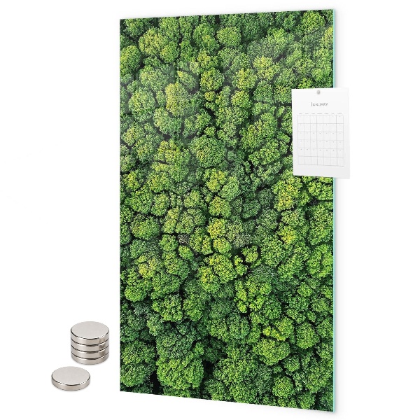 Tablica magnetyczna na ścianę drzewa natura las