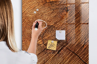 Tablica do notatek z magnesami i zdjęciami Magnetyczna tablica do rysowania