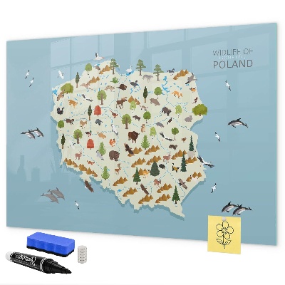 Tablica magnetyczna z pisakiem Mapa przyrody Polski z miejscami na zdjęcia