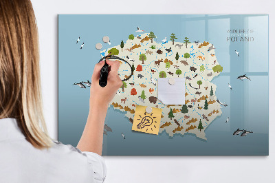 Tablica magnetyczna z pisakiem Mapa przyrody Polski z miejscami na zdjęcia