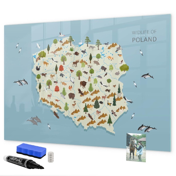 Tablica magnetyczna z pisakiem Mapa przyrody Polski z miejscami na zdjęcia