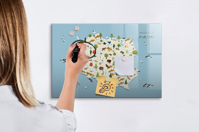 Tablica magnetyczna z pisakiem Mapa przyrody Polski z miejscami na zdjęcia