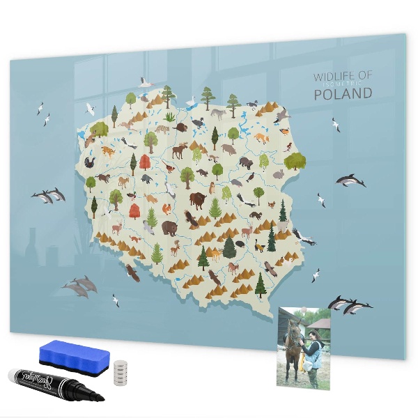 Tablica magnetyczna z pisakiem Mapa przyrody Polski z miejscami na zdjęcia