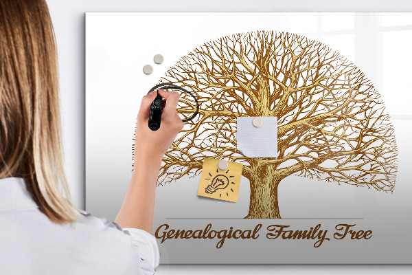 Tablica do rysowania magnetyczna Drzewo genealogiczne z miejscem na zdjęcia
