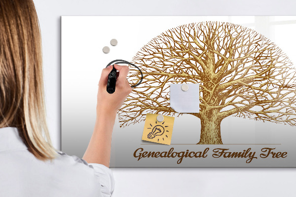 Tablica do rysowania magnetyczna Drzewo genealogiczne z miejscem na zdjęcia