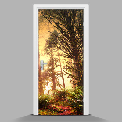 Naklejka na drzwi samoprzylepna Zaklęty las