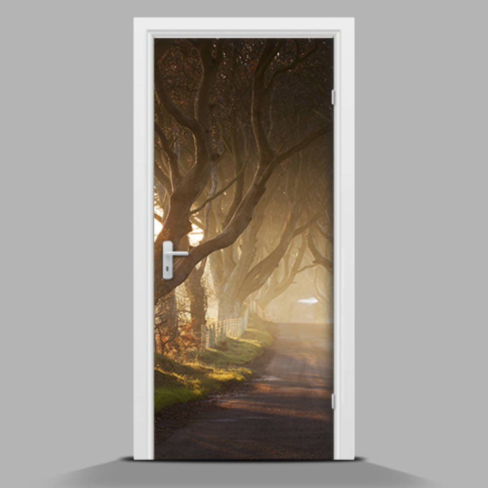 Naklejka samoprzylepna na drzwi Olbrzymie drzewa