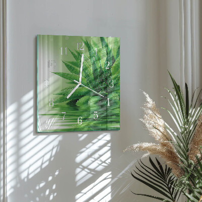 Kwadratowy zegar Aloes