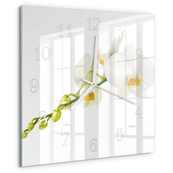 Zegar ścienny kwadratowy Orchidea